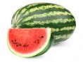 PATILLA